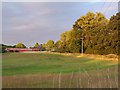 Evening colours near Hamptworth