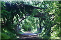 Bridge at Shanklin, Isle of Wight