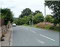 Trees on the eastern edge of Pilton Vale, Newport