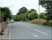 ST3190 : Trees on the eastern edge of Pilton Vale, Newport by Jaggery