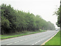 View along B4380 looking towards Weeping Cross