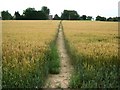 Footpath to Smeeth Church