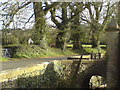 Farm Wall opposite St Mary Magdalene church