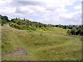 Percy Pit Local Nature Reserve