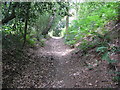 SU9838 : Greensand Way climbing to Vann Hill by Dave Spicer