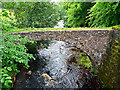 Old packhorse bridge, Braco