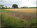 Arable land near Pebworth Fields Farm