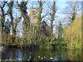 Village Pond at Halvergate