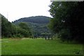 Picnic site near Jersey Marine