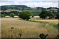 Valley Farmland