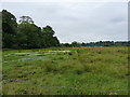 Boggy ground south of Moors Farm, Codsall