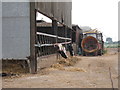 Cows at Gustoncourt Farm