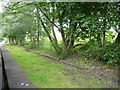 Platform, Sunniside station