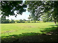 Grassland south of Ghyll House