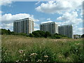 Towerblocks at Weston Shore