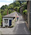 Lane at Lustleigh Mill