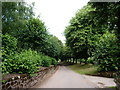 The approach to Stockton Grange