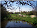 Pond near Langford Village