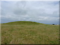 SO4099 : Leasowes Barrow - tumulus on the hill above Thresholds by Richard Law