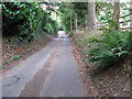 Bridleway and residential road to Brighton Road