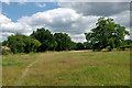 Footpath towards Broadbridge Heath