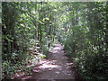 Cycleway near Marlpool