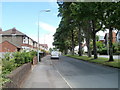 Tree-lined central reservation, Waun-gron Road, Cardiff