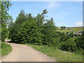 Trackbed of the former Rookhope-Westgate railway