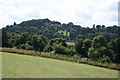 Broadclyst: towards Killerton Park