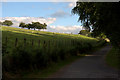 Road to Ashmore Farm, Bridge of Cally