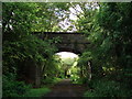 Bridge over the Greenway