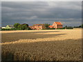 Skyers Farm beyond the wheat field