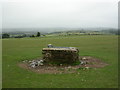 Whitchurch Down, water trough