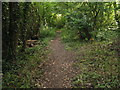 Bridleway from Hambledon village to Hambledon Hurst