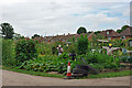 Scarecrows on the allotments