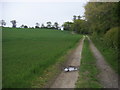 Footpath to Mountwood Spinney