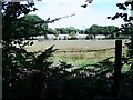 View across fields in the direction of Beudy Mawr