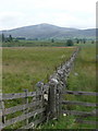 Dry stone wall