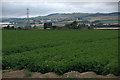 Fields at Cronan, near Coupar Angus