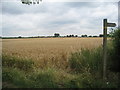 Across the fields at West Butterwick