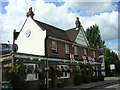 Croydon: The Surrey Cricketers