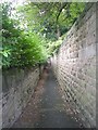 Footpath - Latham Lane