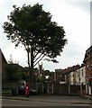 Tree, Pillar Box and Church Tower