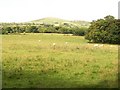 View west from Lon Pin across farmland below Beudy Mawr