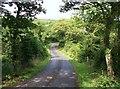 Declivity to the Nant y golchi valley floor on the Ty-isaf road