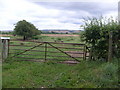 Footpath near Newstead Grange Farm