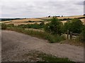 Bridleway junction north of Gallops Farm