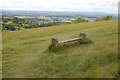 A seat with a view on Leckhampton Hill