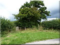 Bridleway and footpath junction at Arlescott