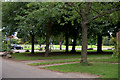 Trees in front of Forfar Leisure Centre